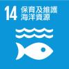 保育海洋生态